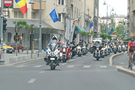 parada t-festival 2015