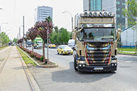 parada t-festival 2015